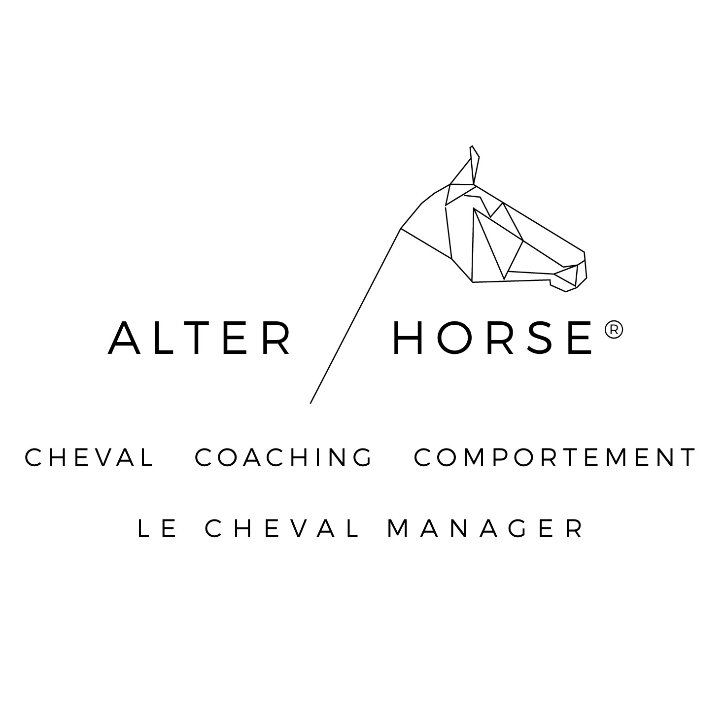 Alter Horse - Equicoaching - Horse coaching - Renaud SUBRA