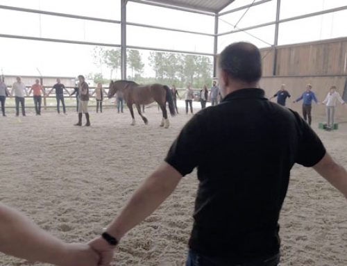 VIDÉO – Comment se déroule un séminaire de Horse Coaching – Equicoaching ?