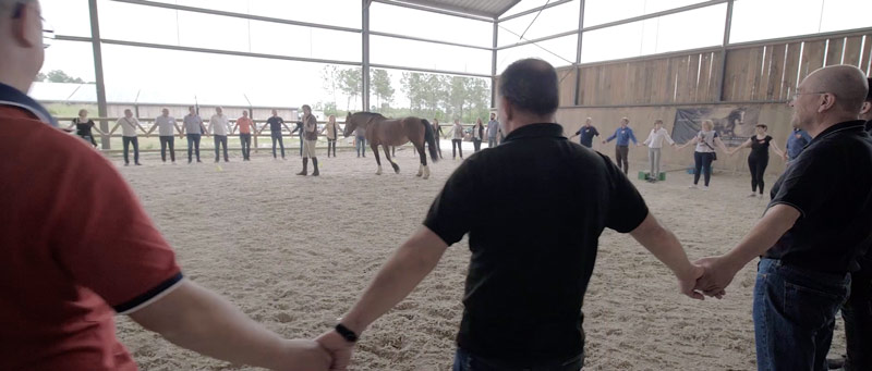 Alter Horse Coaching Equicoaching Séminaire Management et chevaux