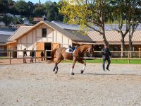 PÔLE INTERNATIONAL DU CHEVAL DE DEAUVILLE (DPT. 14)