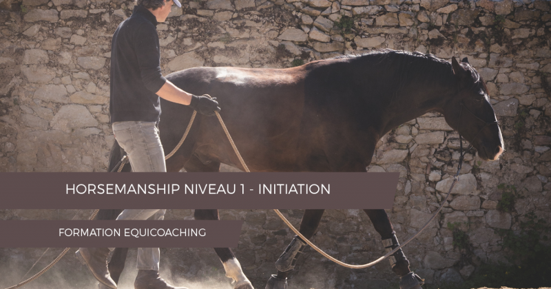 Formation Horsemanship Initiation