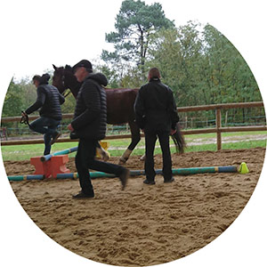 Témoignage Equicoaching