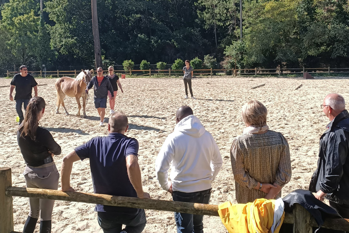Alter Horse Equicoaching et Soft skills