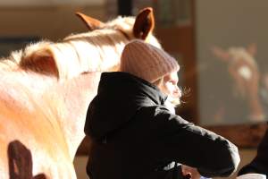 Béatrice Vicart Equicoaching Alter Horse