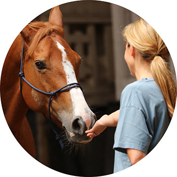Alter Horse Equicoaching L'Oréal
