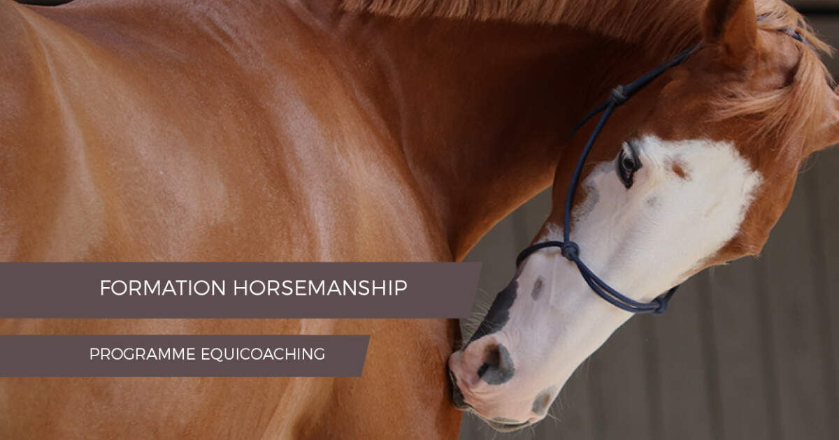 Formation horsemanship pour equicoachs