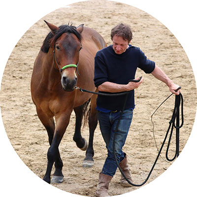 EQUICOACHING-ALTER-HORSE-CLAUDE Claude Saint Dizier