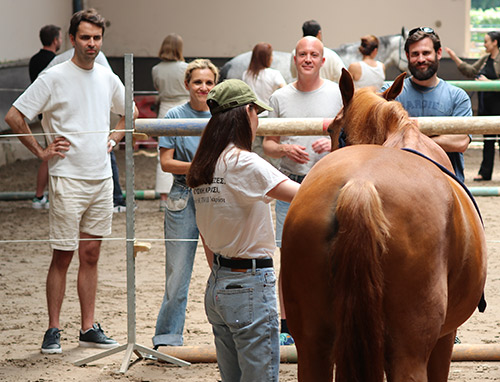 Equicoaching séminaire d'entreprise