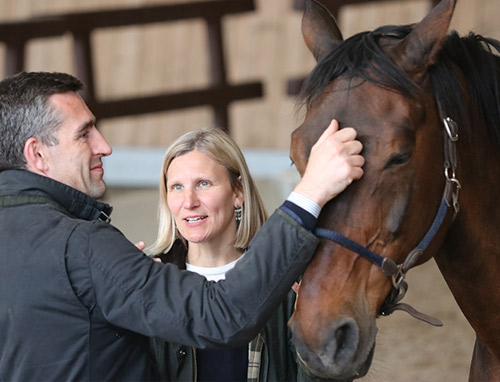 Equicoaching workshop