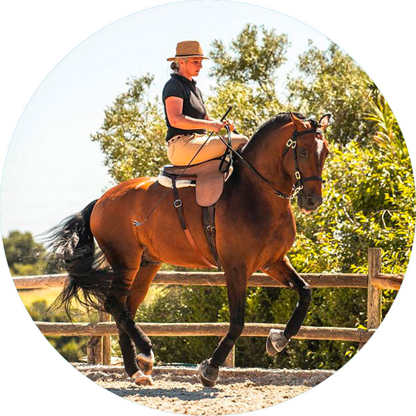 Léa Forge Alter Horse Equicoaching 3