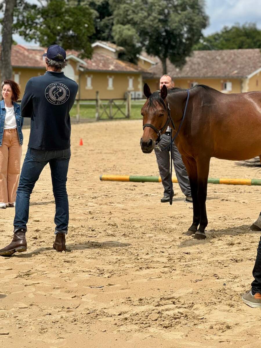 Equicoaching Bordeaux Rouillac