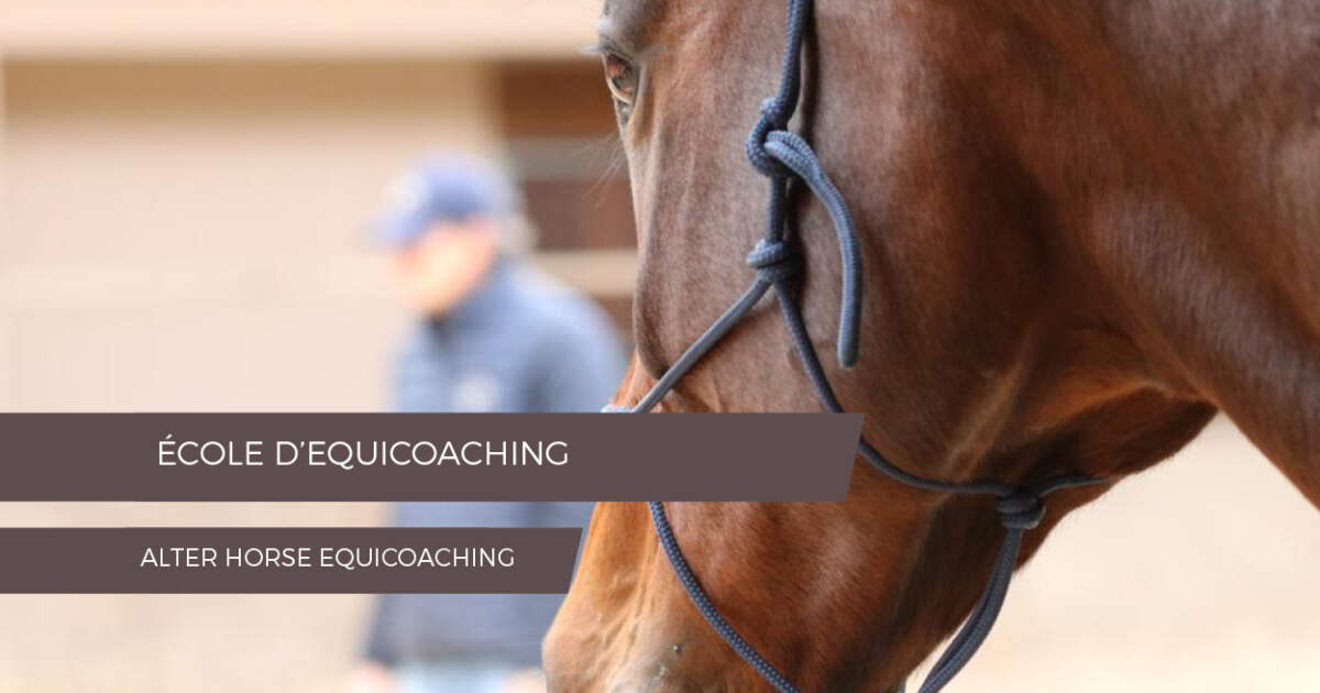 ALTER-HORSE-ECOLE-EQUICOACHING Ecole Equicoaching
