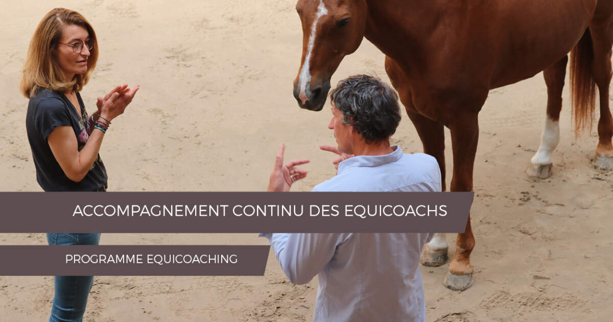 Accompagnement continu des equicoachs