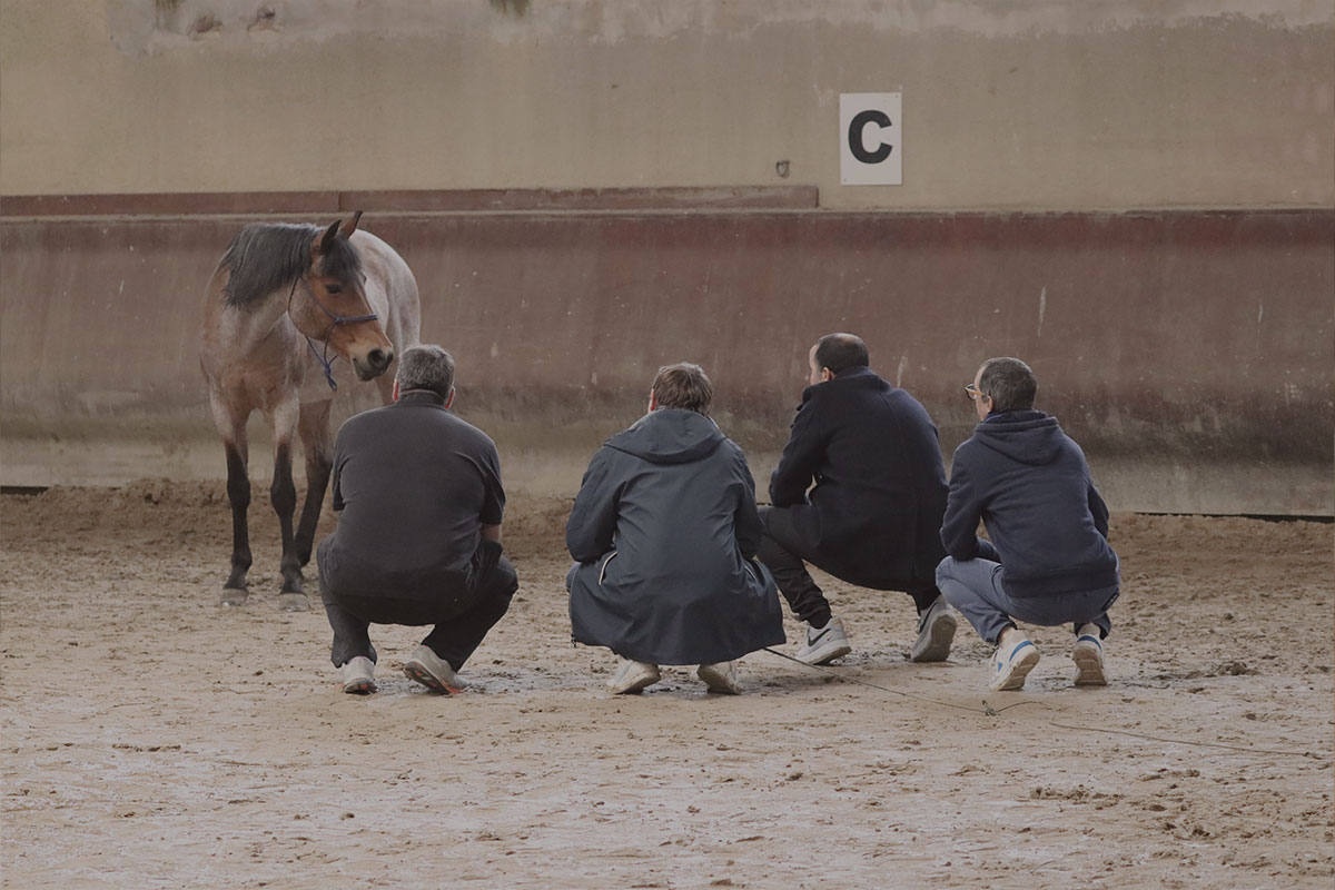 Participants accroupis en carrière pendant un exercice d'equicoaching, un cheval derrière eux