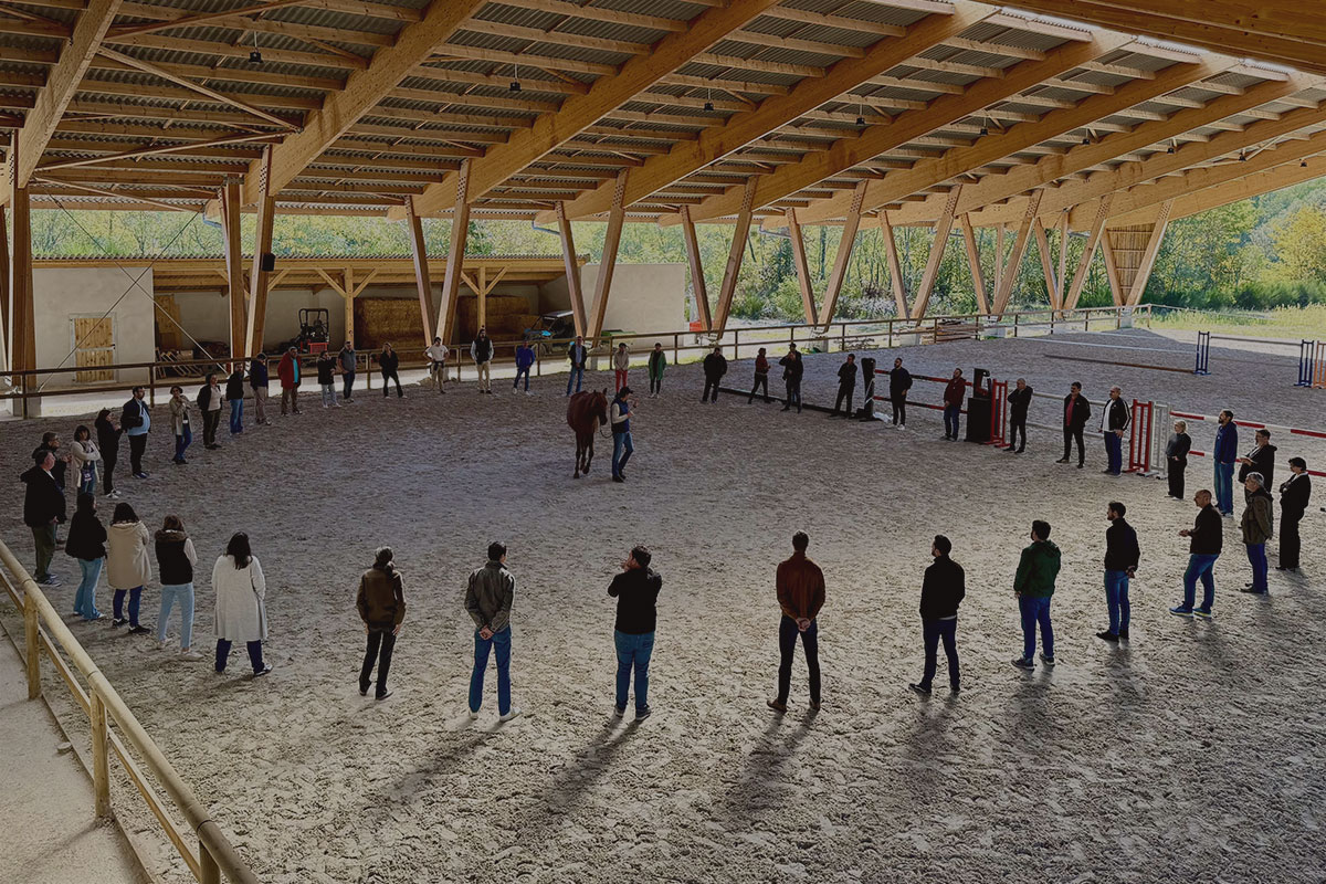Alter Horse Equicoaching Equipes