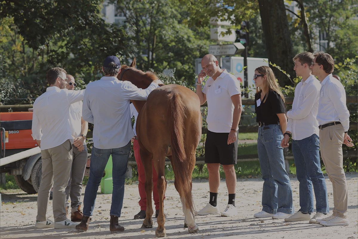 Participants en cercle autour d'un cheval, pendant un séminaire d'equicoaching