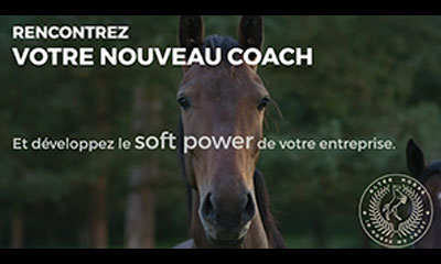 Qu'est ce que l'equicoaching ?
