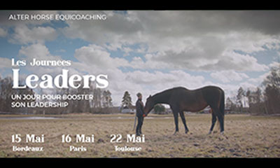 Programme Leaders Equicoaching