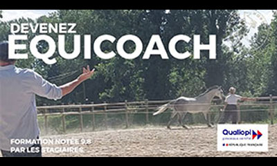 Formation certifiée Devenir Equicoach