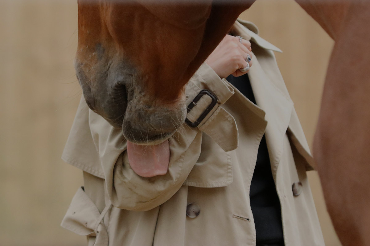 Equicoaching LVMH par Alter Horse