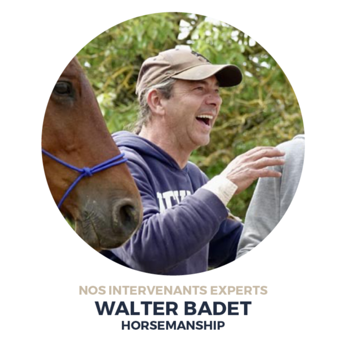Walter Badet Equicoaching