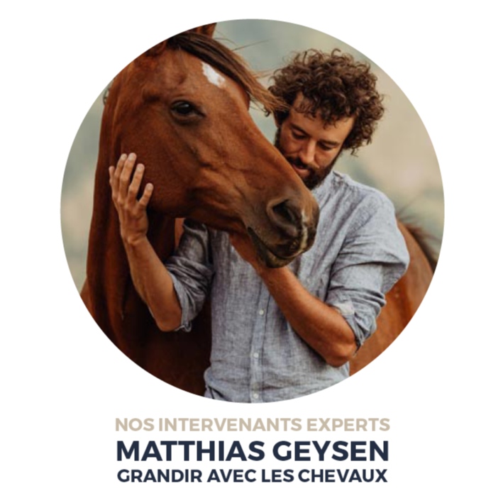 Matthias Geysen